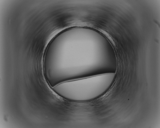 X0000093581343200710150949