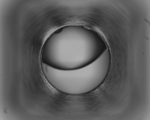 X0000093581344200710150949
