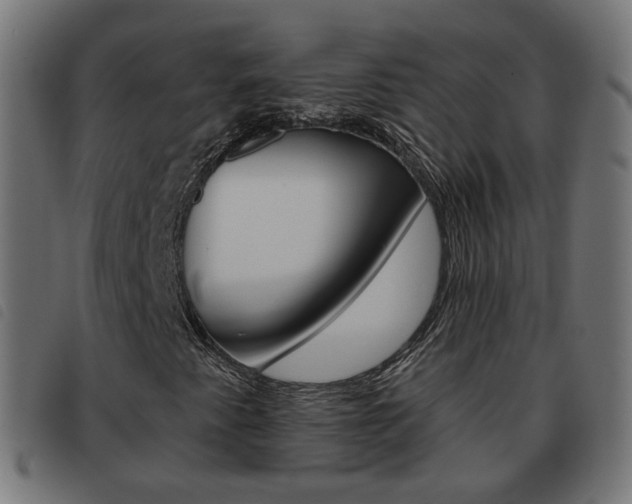 X0000093581345200710150949