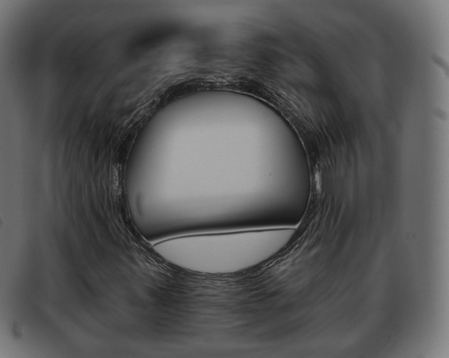X0000093581347200710150949