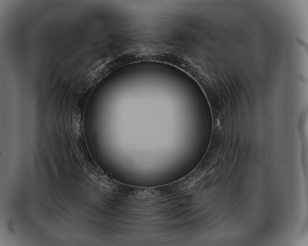 X0000093581348200710150949