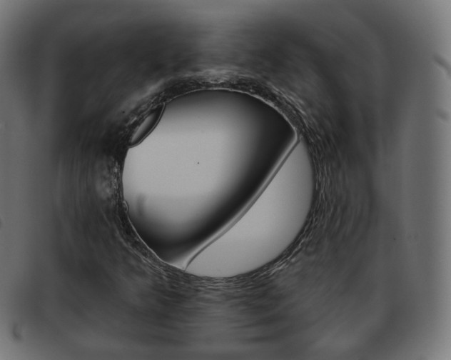 X0000093581349200710150949
