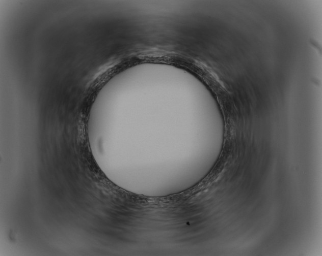 X0000093581350200710150949