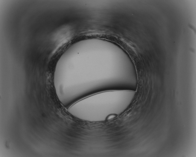 X0000093581351200710150949
