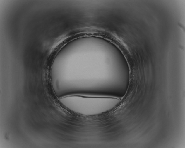 X0000093581352200710150949