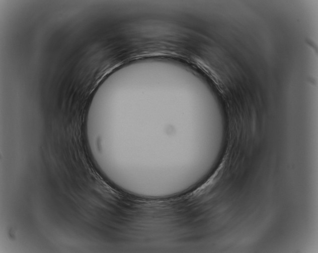 X0000093581353200710150949