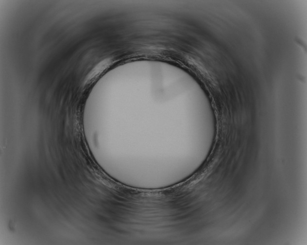 X0000093581354200710150949