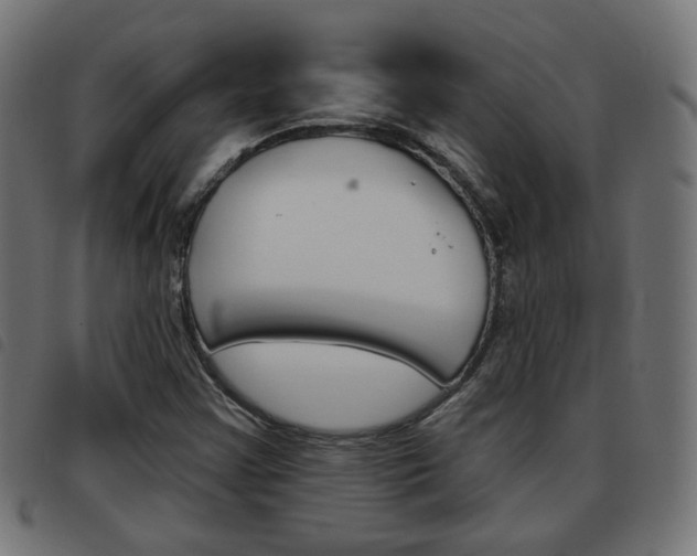 X0000093581355200710150949