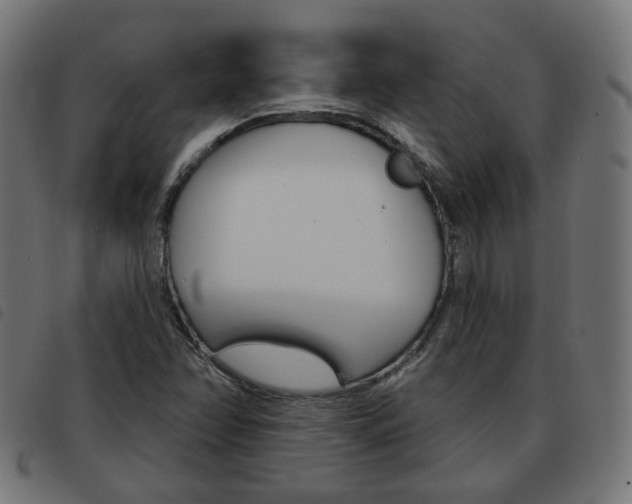 X0000093581358200710150949