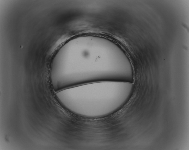 X0000093581359200710150949