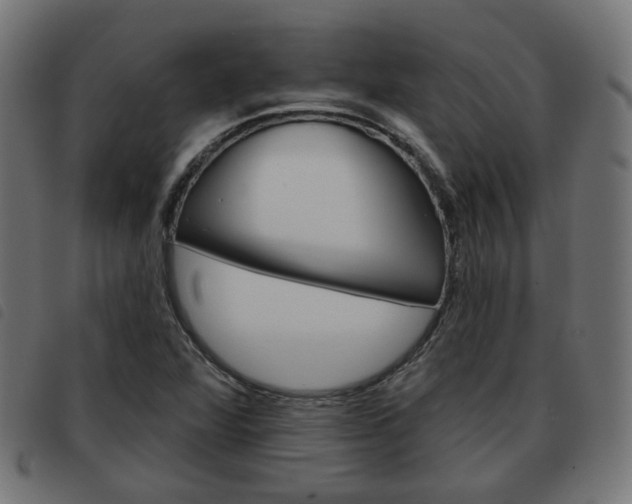 X0000093581360200710150949