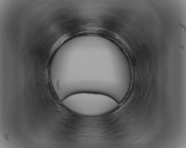 X0000093581362200710150949