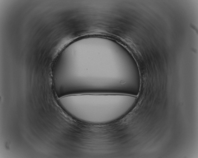X0000093581363200710150948