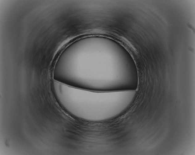 X0000093581364200710150948