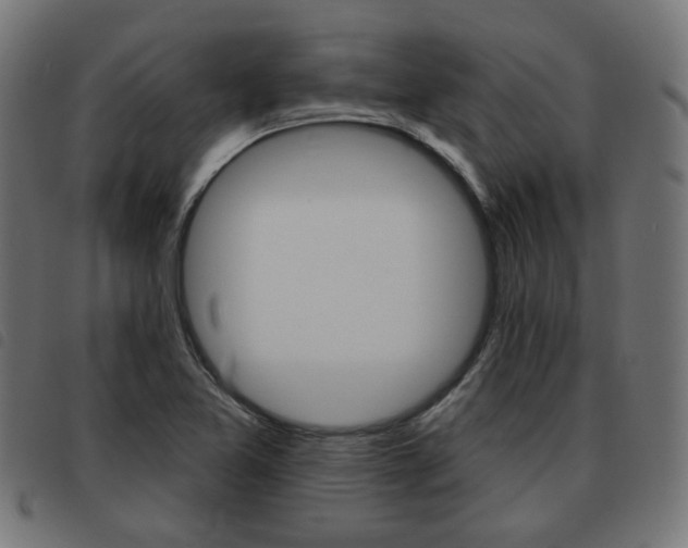X0000093581365200710150948