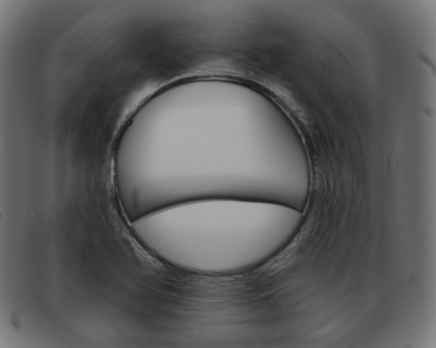 X0000093581366200710150948