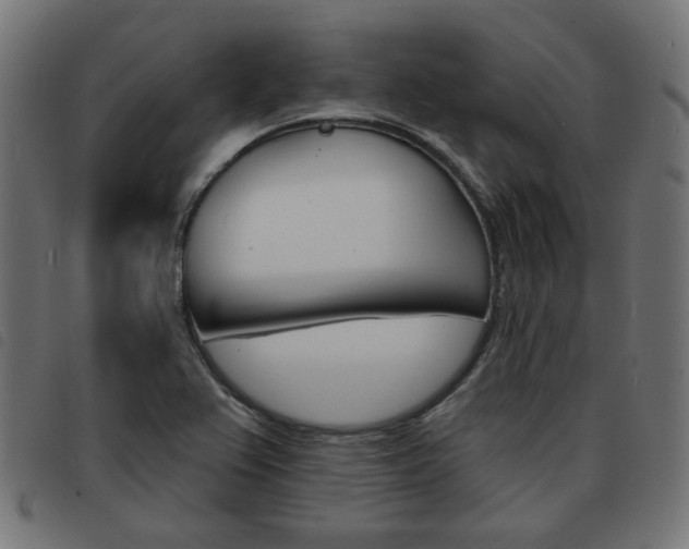 X0000093581367200710150948