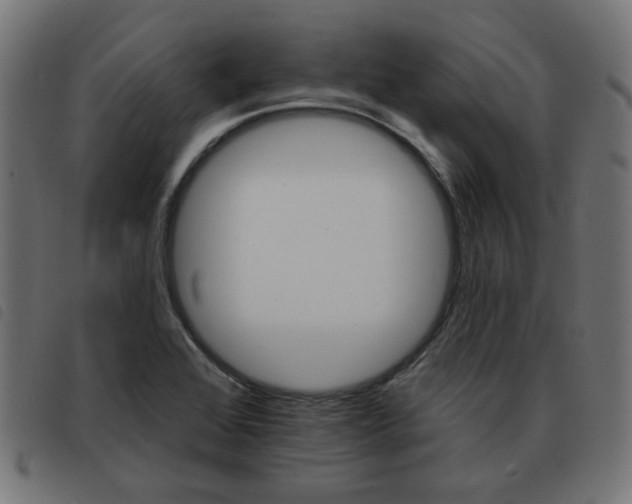 X0000093581368200710150948
