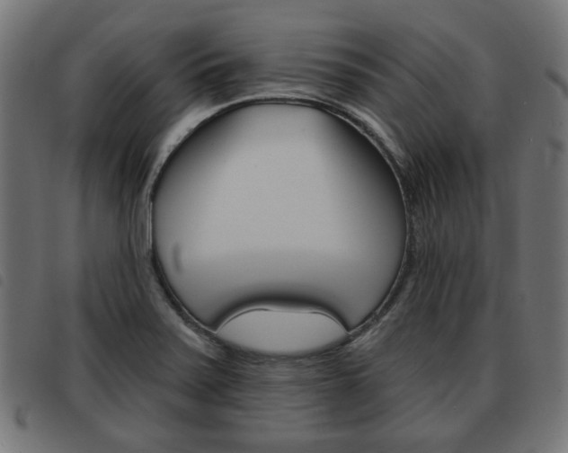 X0000093581371200710150948
