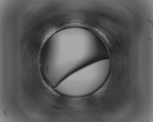 X0000093581373200710150948