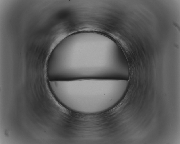 X0000093581375200710150948