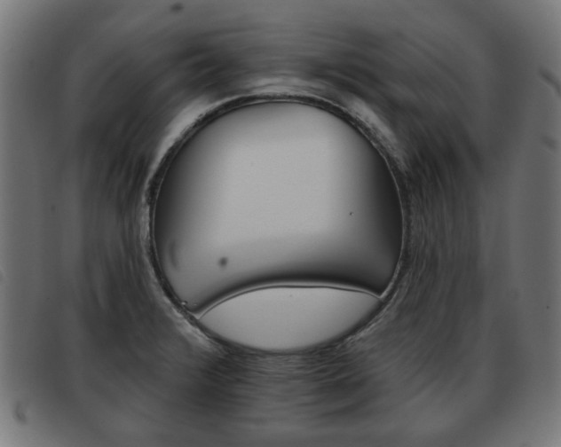 X0000093581376200710150948