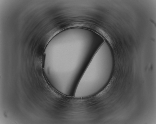 X0000093581377200710150948