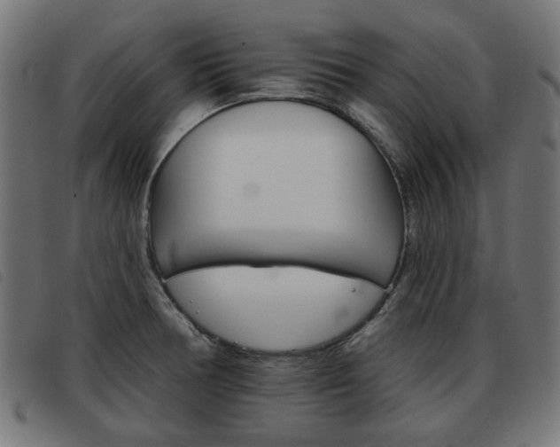 X0000093581378200710150948