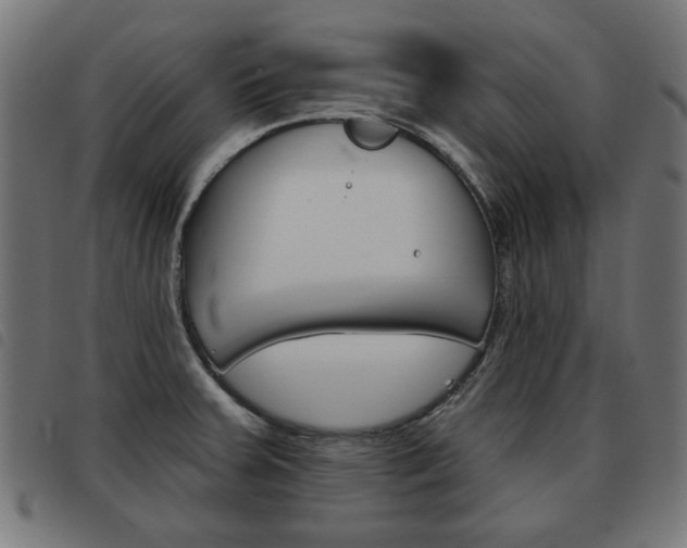X0000093581379200710150948