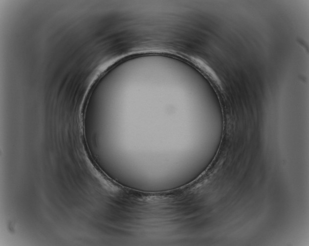 X0000093581380200710150948