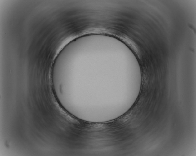 X0000093581382200710150948