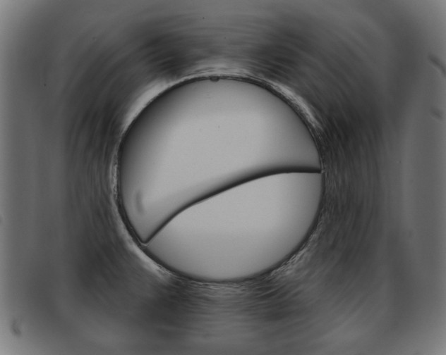 X0000093581383200710150948