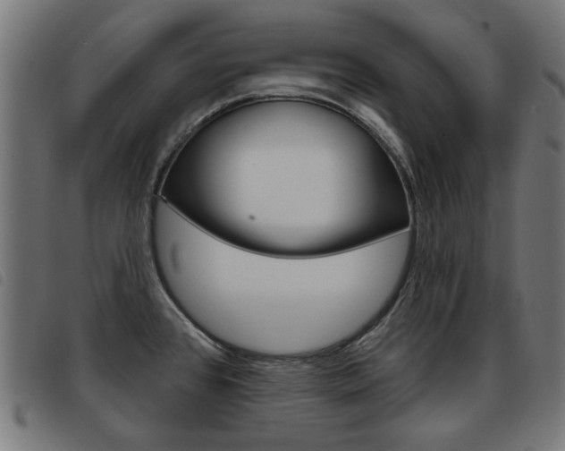 X0000093581384200710150948