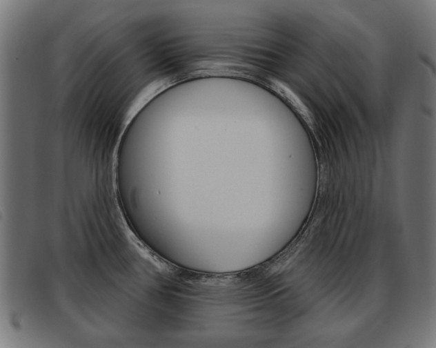 X0000093581386200710150948