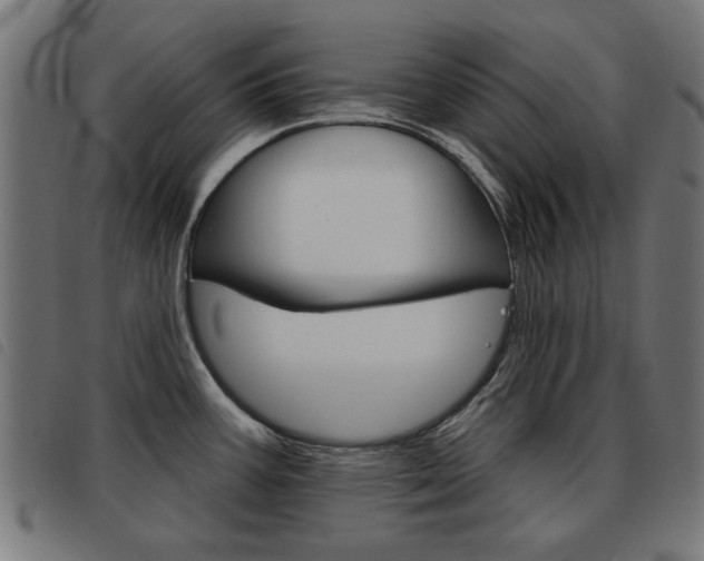 X0000093581387200710150948