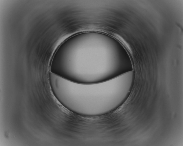 X0000093581388200710150948