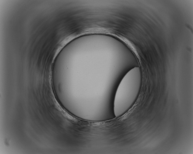 X0000093581390200710150948