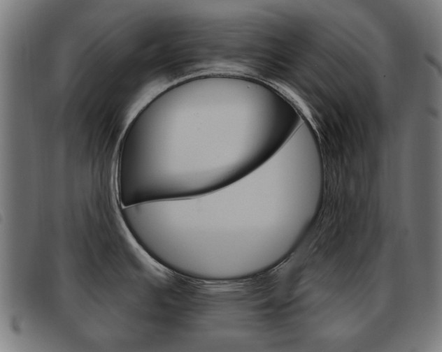 X0000093581391200710150948