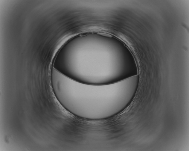 X0000093581392200710150948