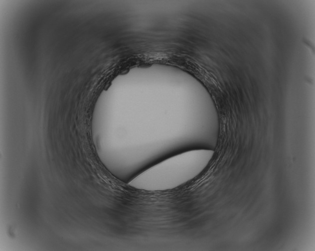 X0000093581393200710150948