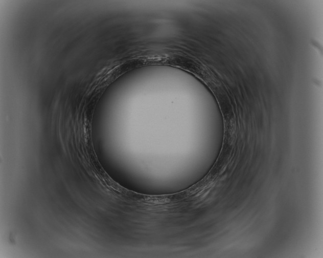 X0000093581394200710150948