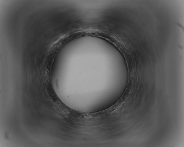 X0000093581398200710150948