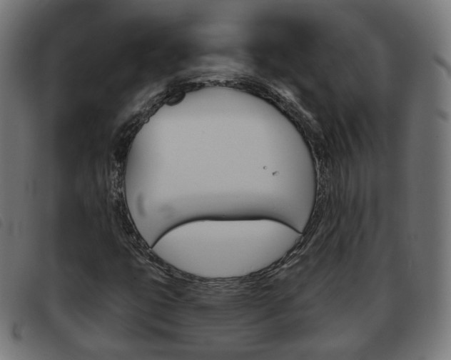 X0000093581399200710150948
