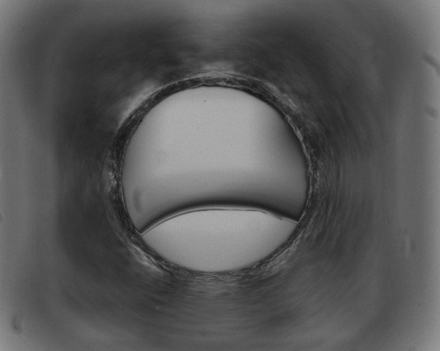 X0000093581400200710150948