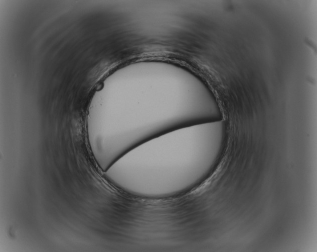 X0000093581401200710150948