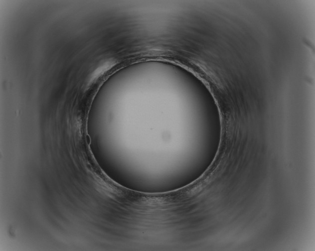 X0000093581402200710150948