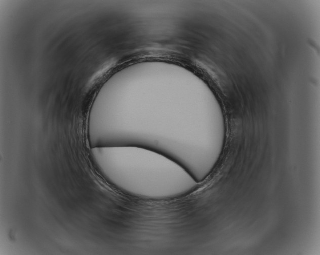 X0000093581403200710150948