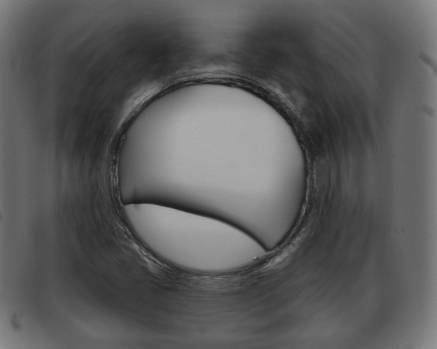 X0000093581405200710150948