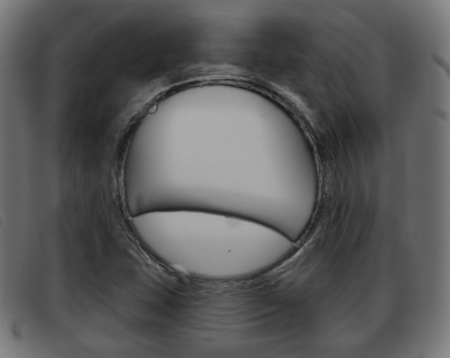 X0000093581407200710150948