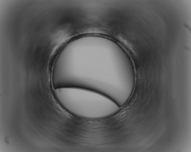 X0000093581408200710150948